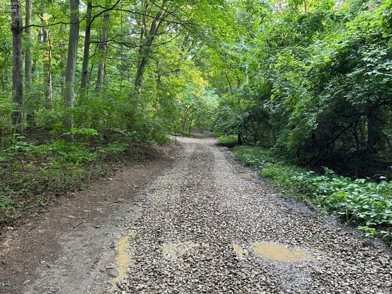 1 Elliot, Put in Bay, OH 43456 Photo 8