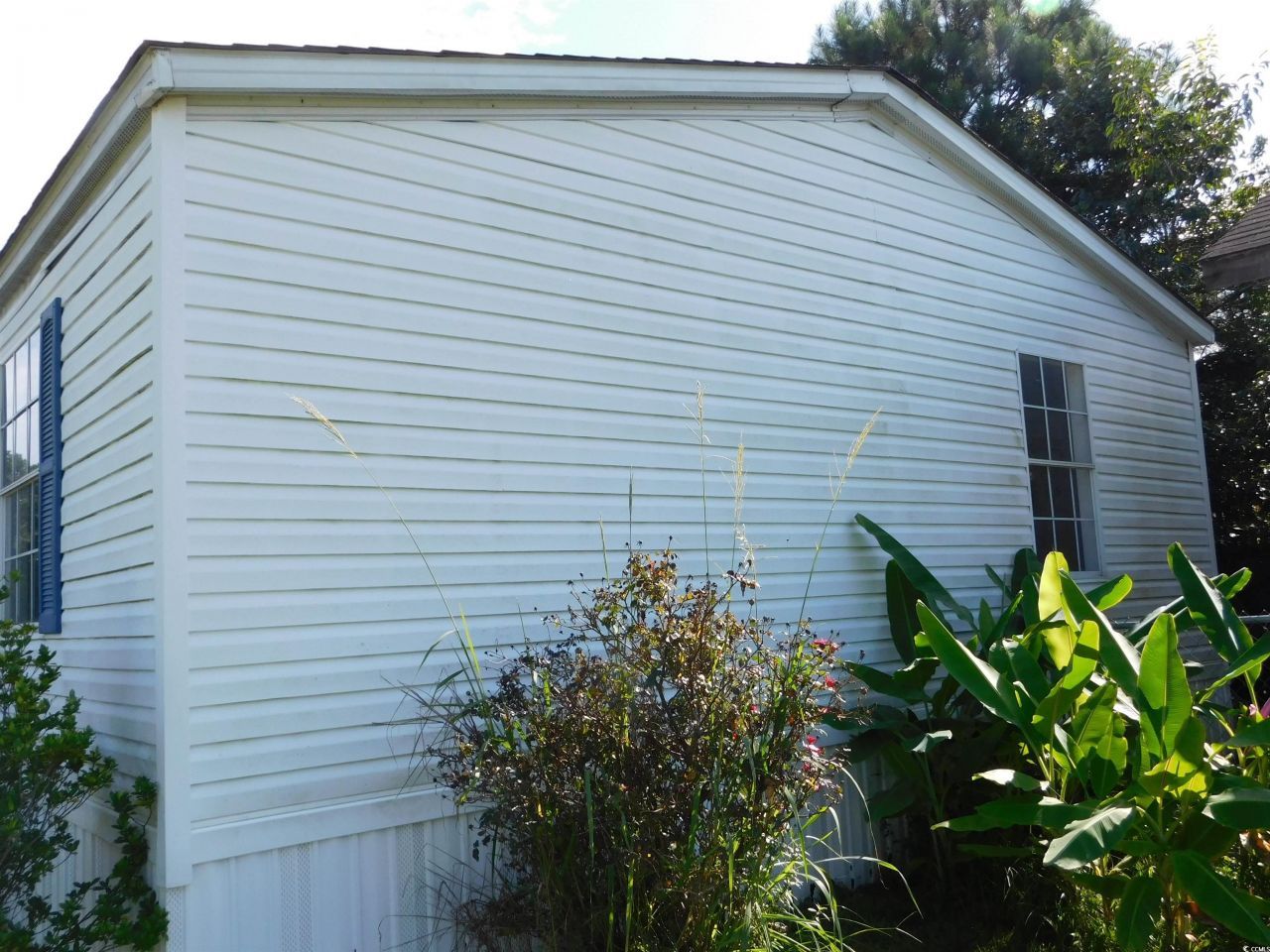 800 Riverbirch Dr. Photo 13