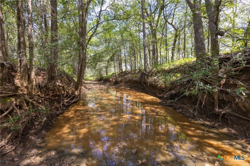 000 E County Road 258, Gonzales, TX 78629 Main Photo