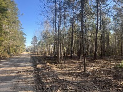 00 Praxis Court, Cottageville, SC 29435