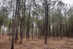 00 Praxis Court photo 4