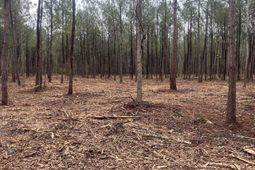 00 Praxis Court photo 4