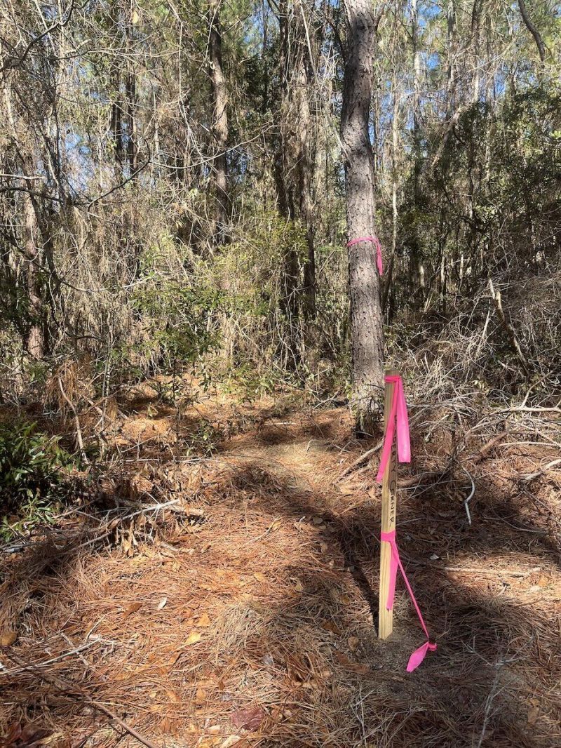 00 Praxis Court Photo 4