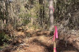 00 Praxis Court photo 4