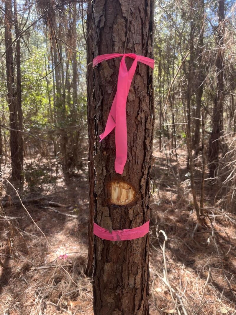 00 Praxis Court Photo 5