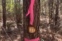 00 Praxis Court photo 4