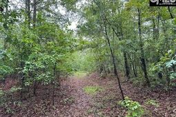 P/o 1375 Fallaw Road photo 4