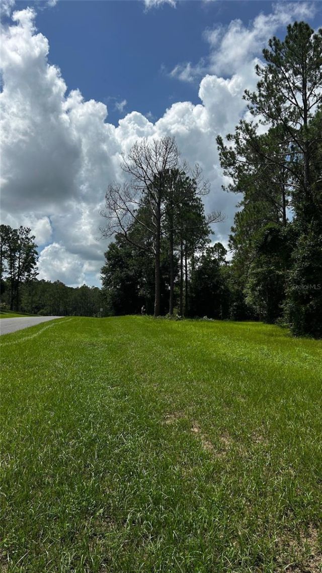 35501 Pinegate Trail, Eustis, FL 32736 Main Photo