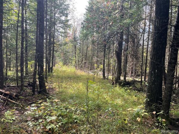 M-28, Newberry Vlg, MI 49868