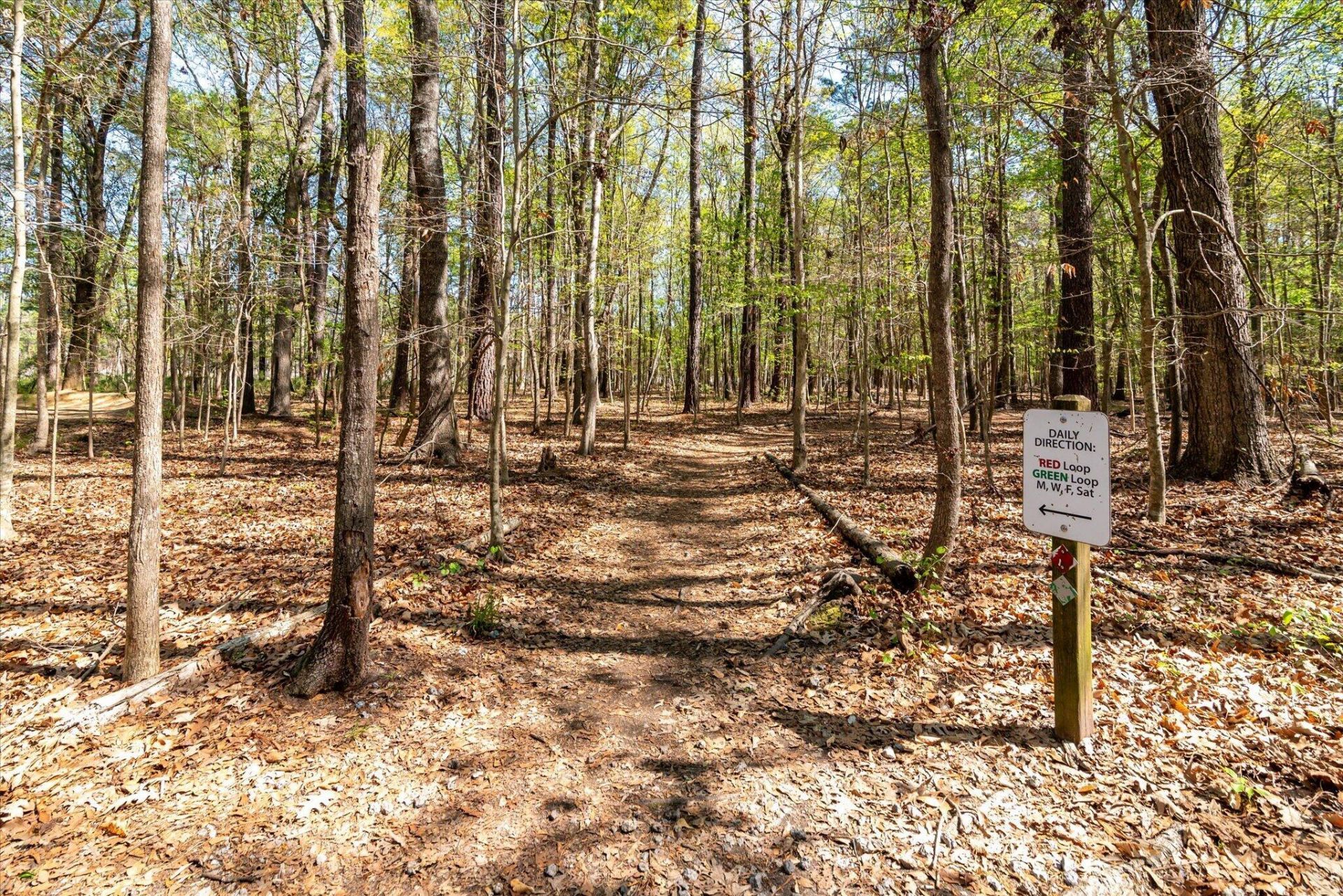 444 Duskywing Drive Photo 43