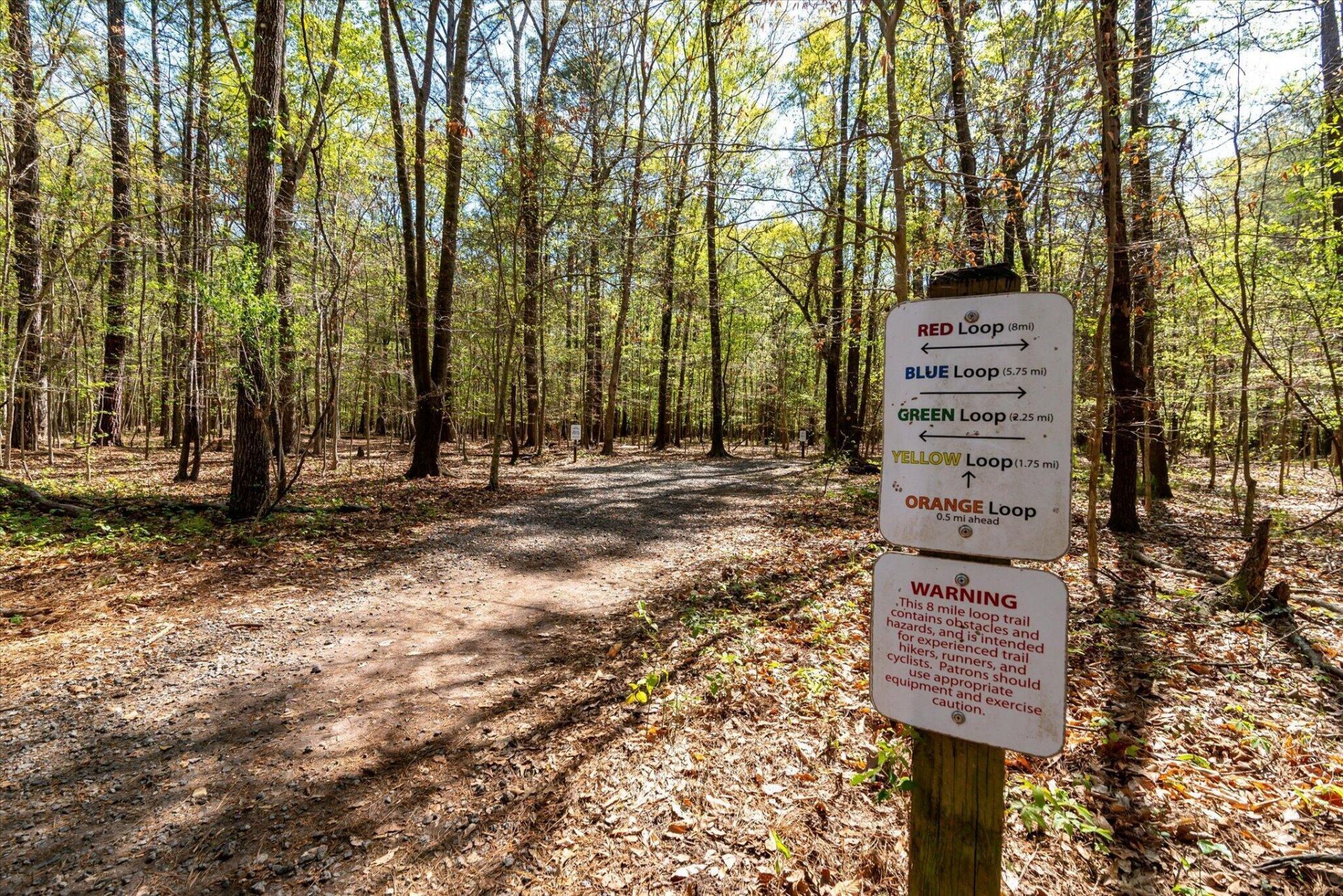 436 Duskywing Drive Photo 38