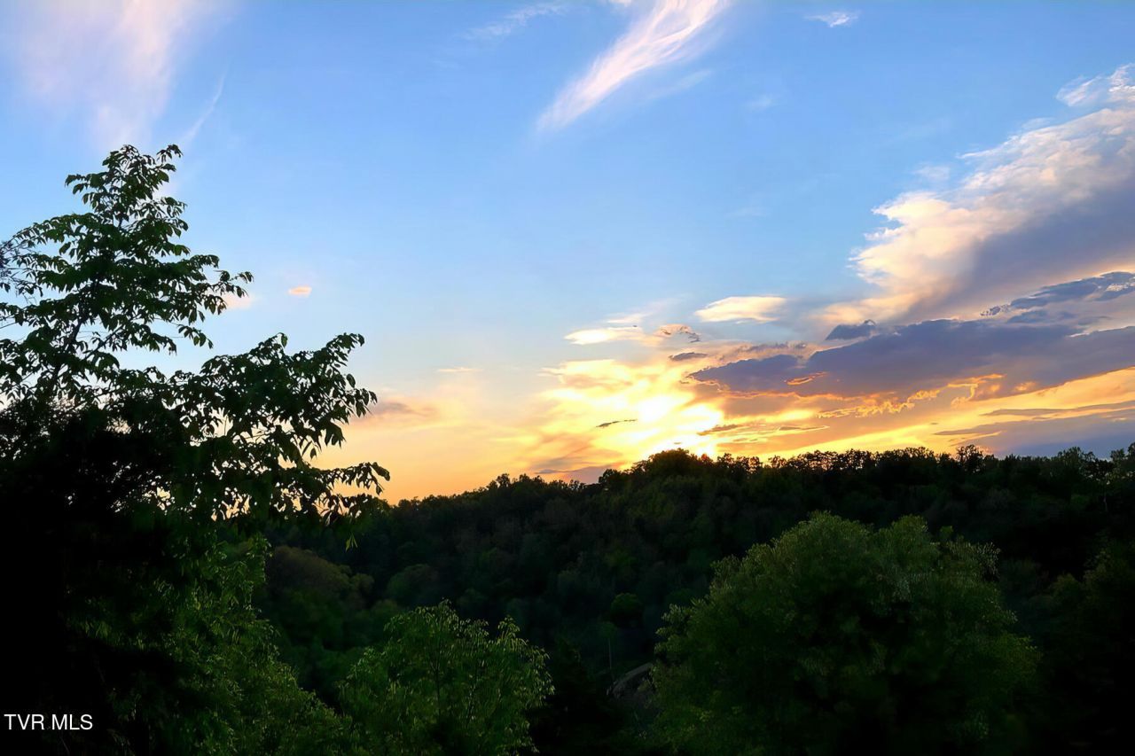 176 Wade Bulla Road, Watauga, TN 37694 Main Photo