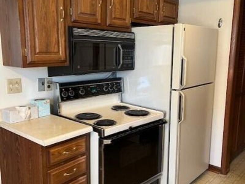 152 Griner Avenue, Circleville, OH 43113 Photo 3