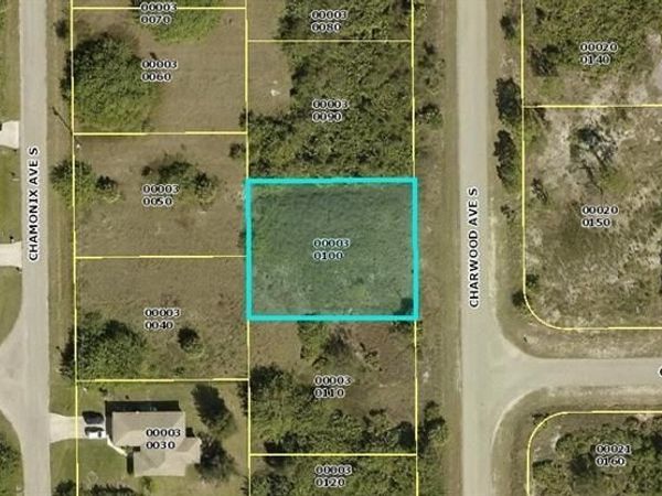 391 Carrillon AVE S, LEHIGH ACRES, FL 33974