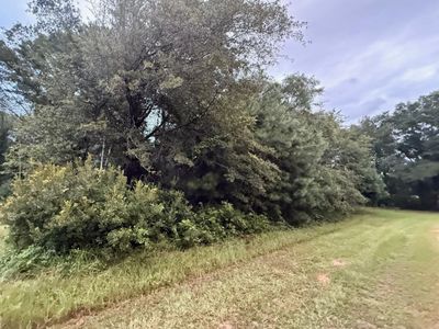 0 Staley Field Lane, St. Matthews, SC 29135