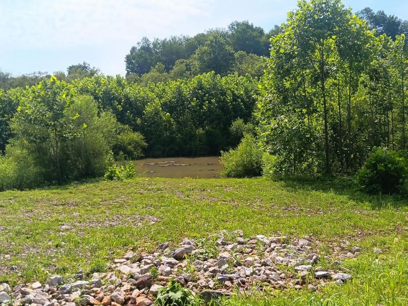 8397 Keystone Furnace Rd Road, Unit (Catch and, Jackson, OH 45640 Photo 39