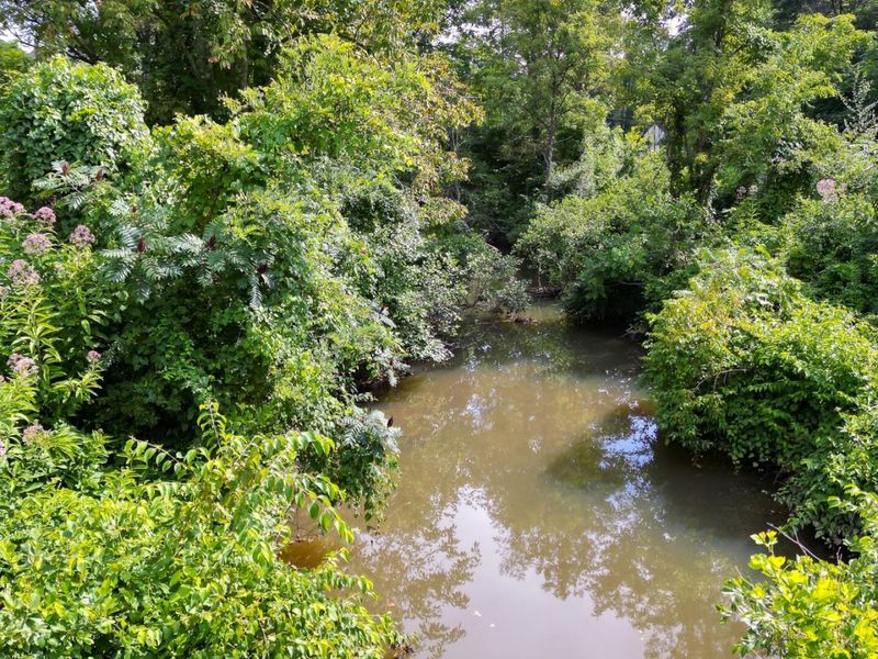 8397 Keystone Furnace Rd Road, Unit (Catch and, Jackson, OH 45640 Photo 7