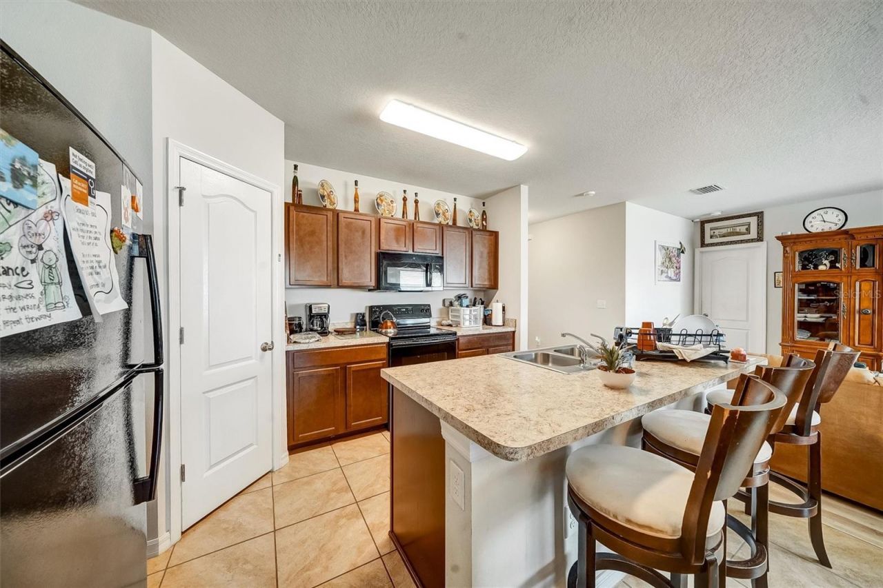 14456 Haddon Mist Drive, Wimauma, FL 33598 Photo