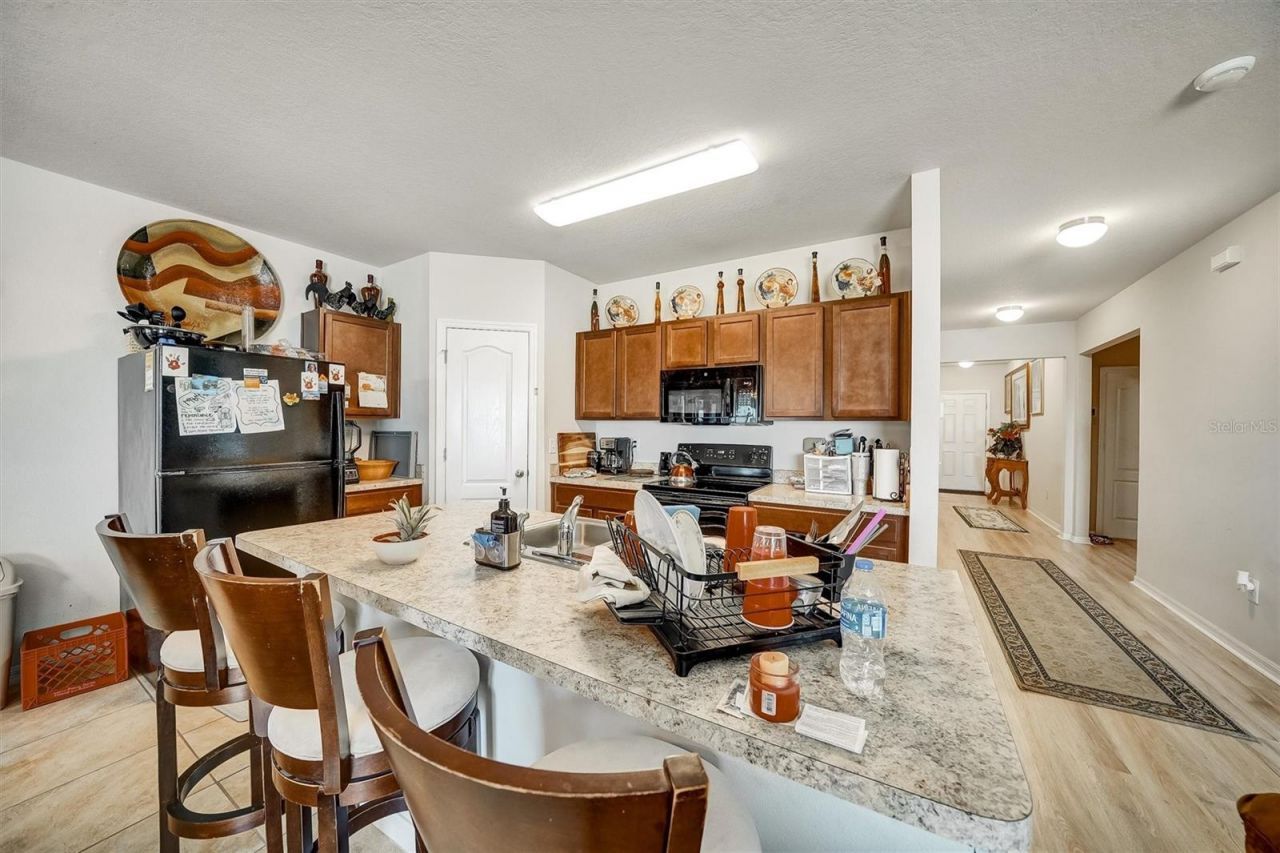 14456 Haddon Mist Drive, Wimauma, FL 33598 Photo