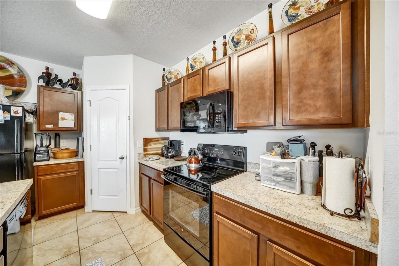 14456 Haddon Mist Drive, Wimauma, FL 33598 Photo
