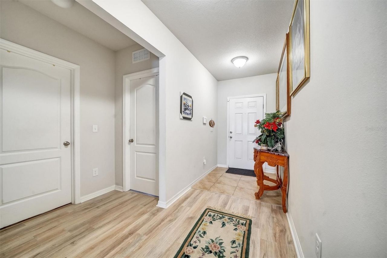 14456 Haddon Mist Drive, Wimauma, FL 33598 Photo
