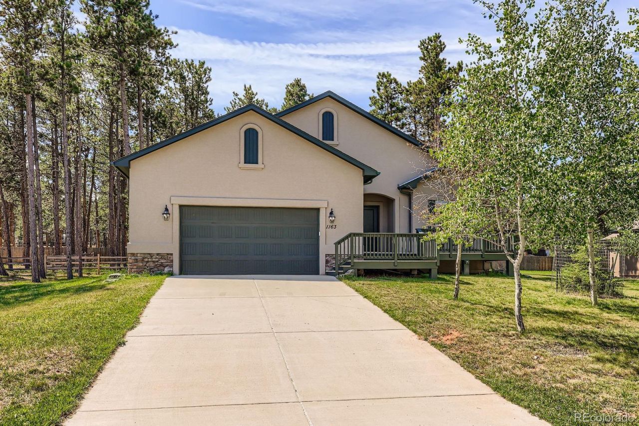 1163 Ptarmigan Drive, Woodland Park, CO 80863 Main Photo