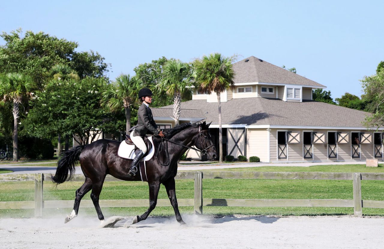 3650 Cobia Court Photo 148