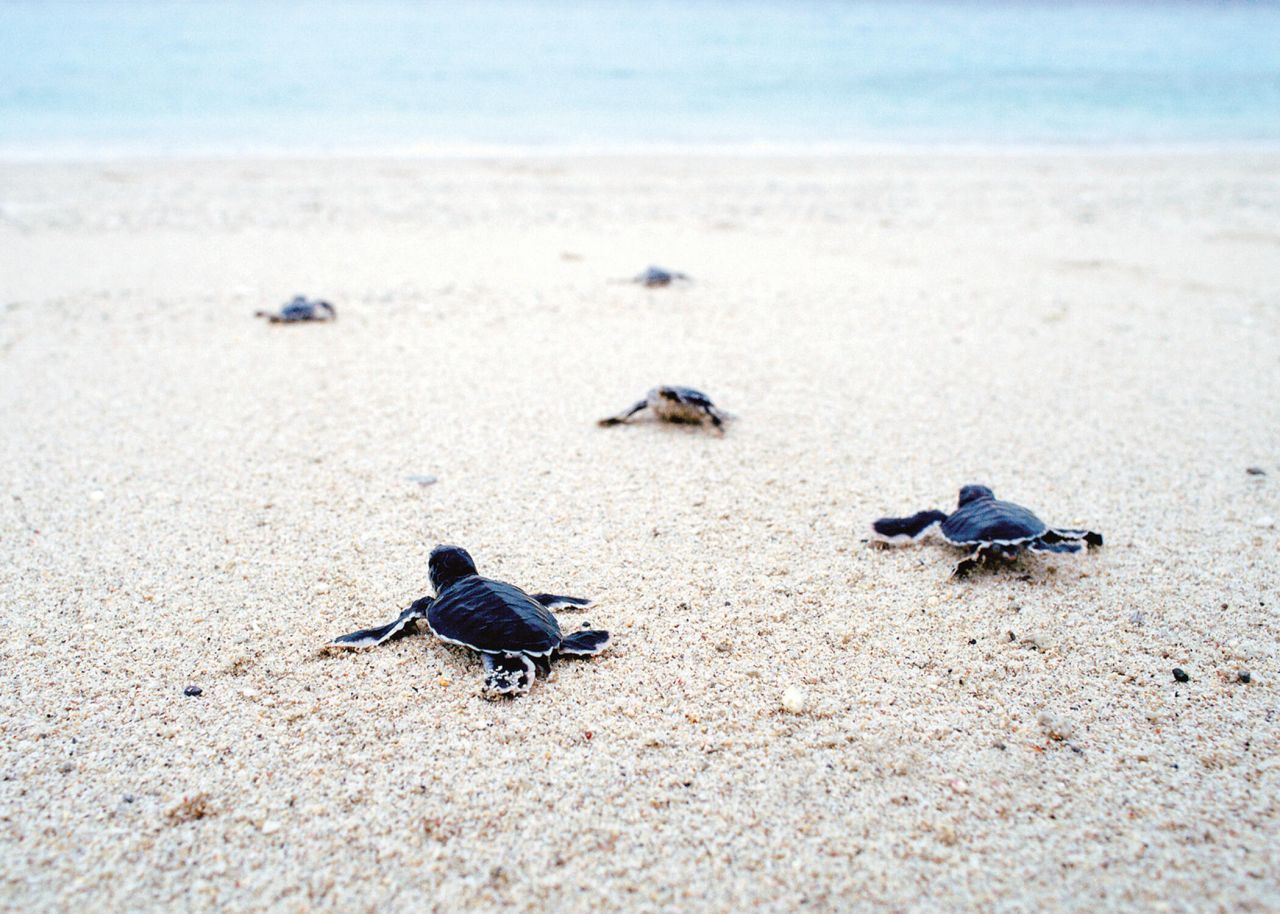 3650 Cobia Court Photo 158