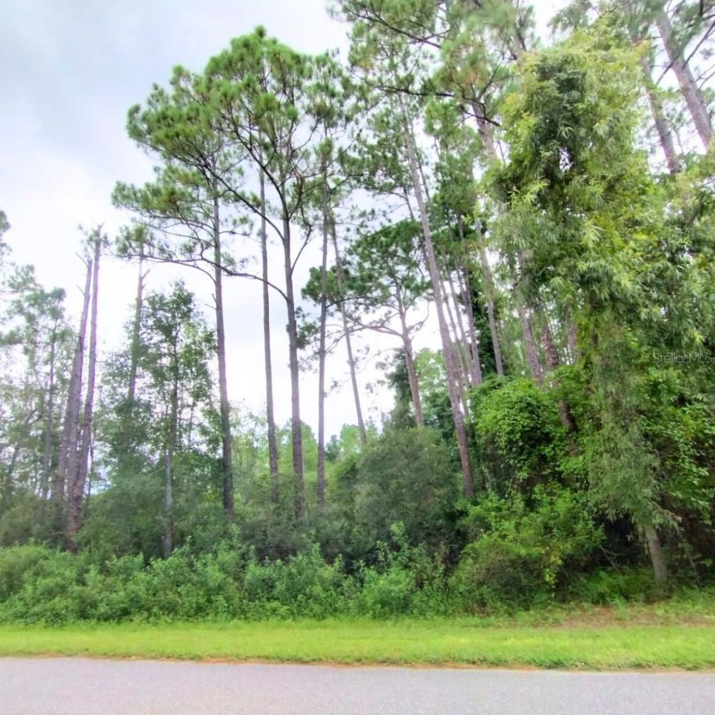 116 Wayburn Street, Georgetown, FL 32139 Photo