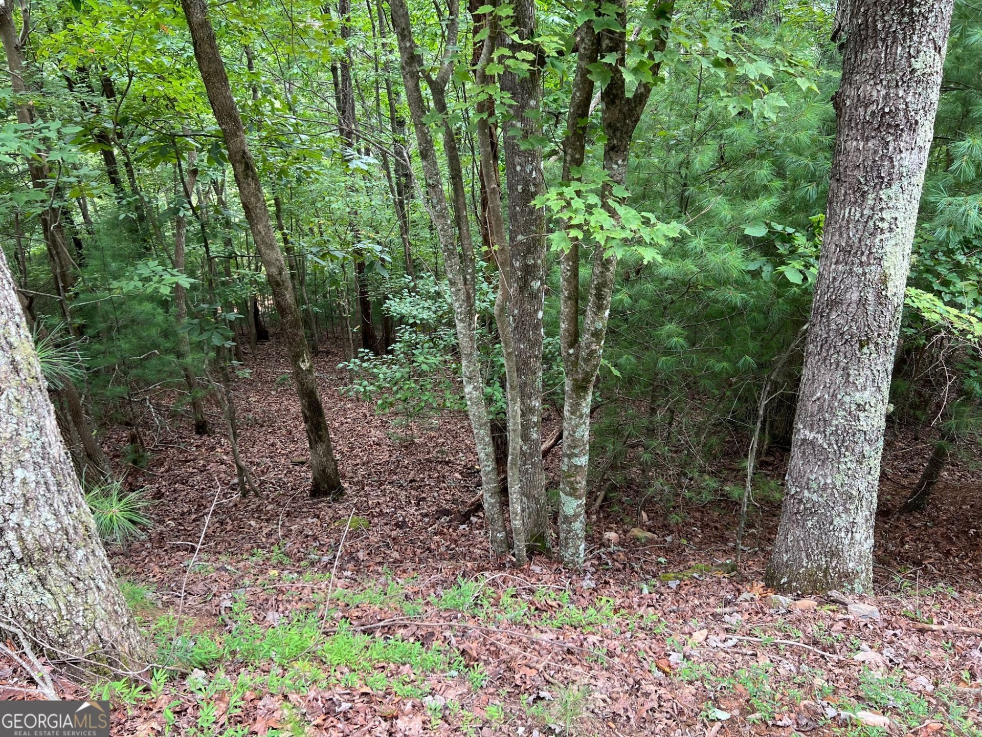 167 Tara Drive, Ellijay, GA 30540 Main Photo