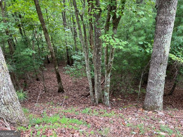 167 Tara Drive, Ellijay, GA 30540
