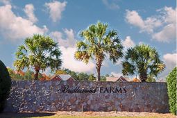 248 Hackamore Lane photo 4