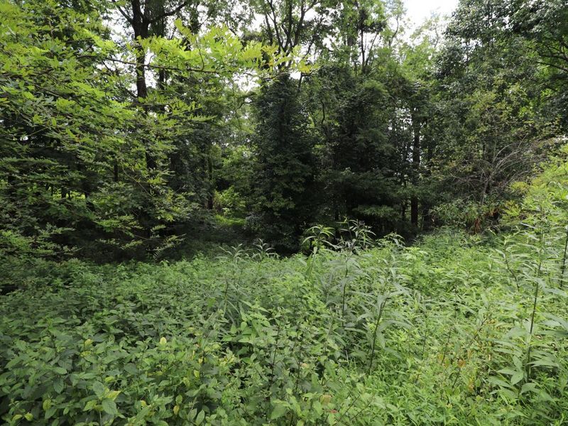 354 Garrett Avenue, Brooksville, KY 41004 Photo 5