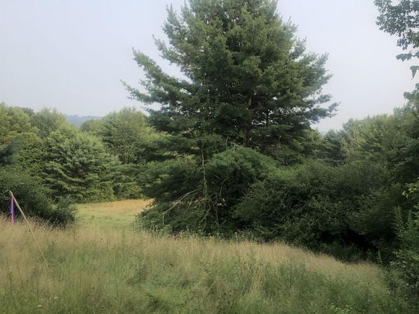 Lot 4 Belvedere Road, Gilsum, NH 03448