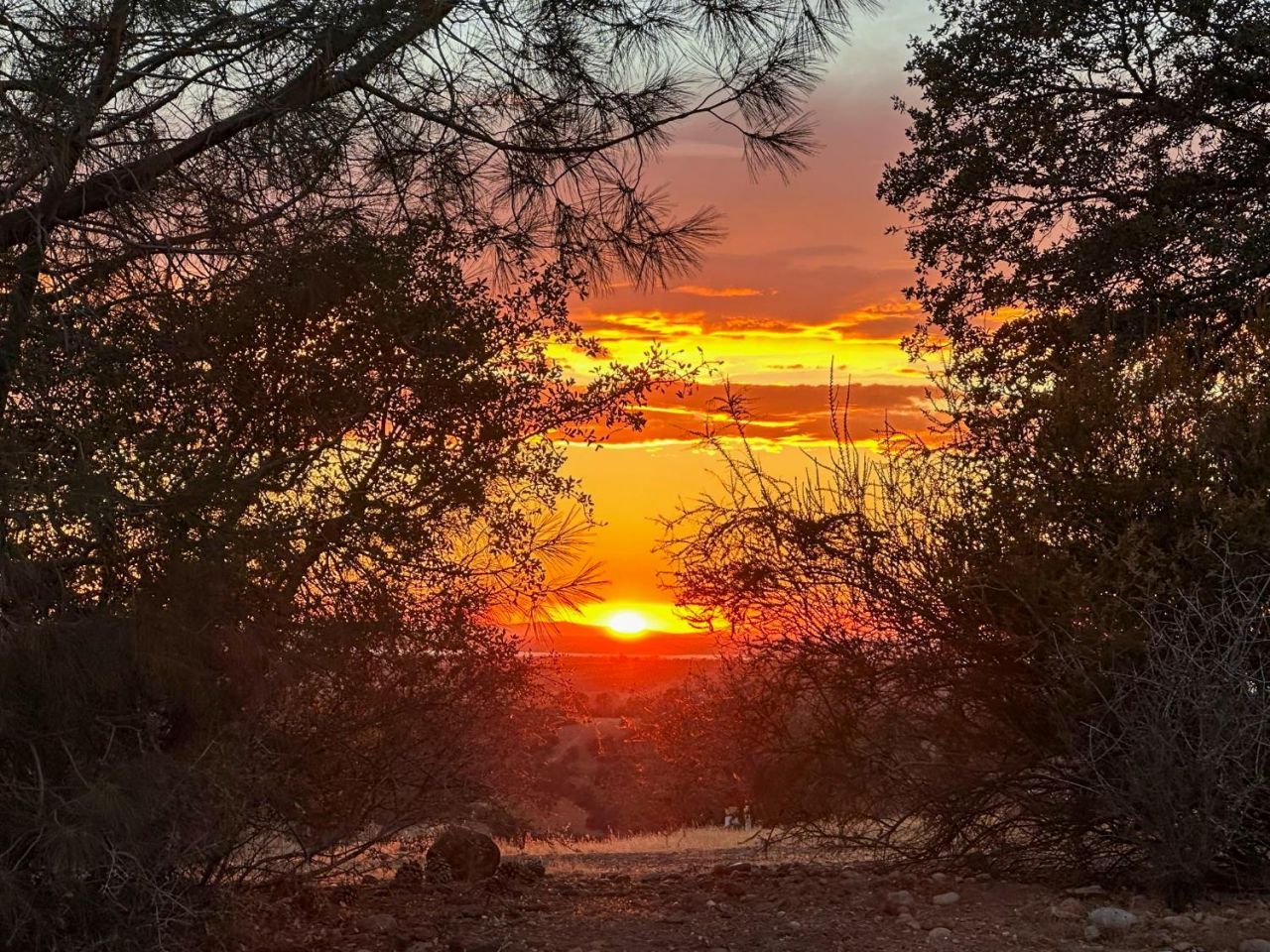 3235 Hagen Rd, Valley Springs, CA 95252 Photo