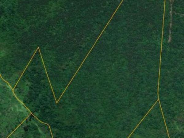 0 E Darden Road, Faison, NC 28341