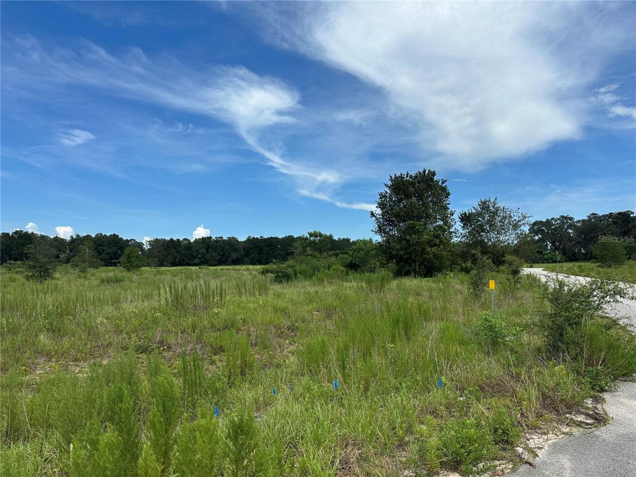 7795 SE 63rd Court, Ocala, FL 34472 Photo