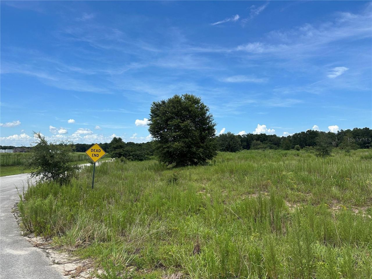 7795 SE 63rd Court, Ocala, FL 34472 Photo