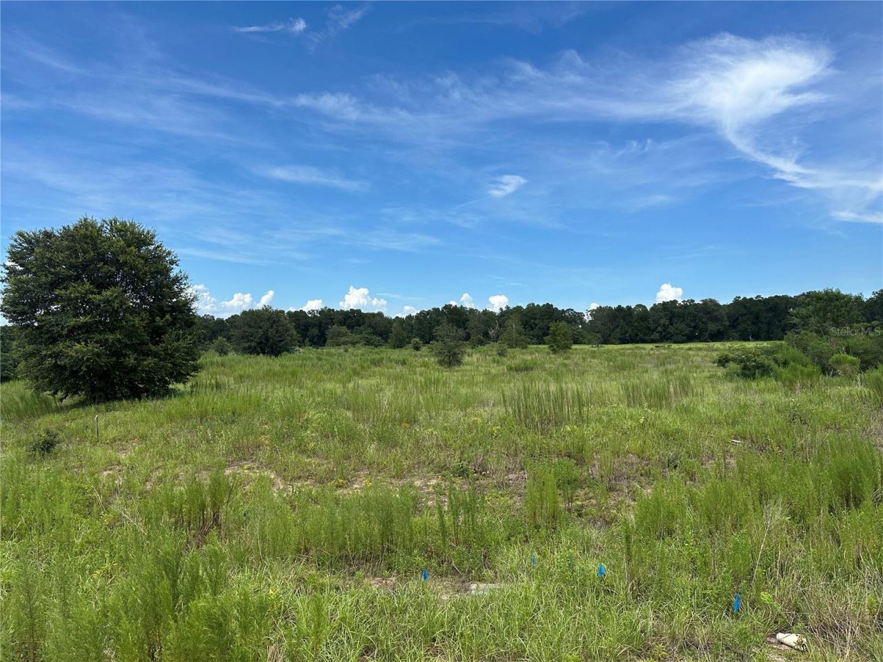 7795 SE 63rd Court, Ocala, FL 34472 Photo