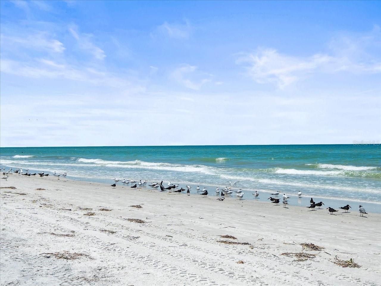 18218 Sunset Boulevard, Lot #B, Saint Petersburg, FL 33708 Photo