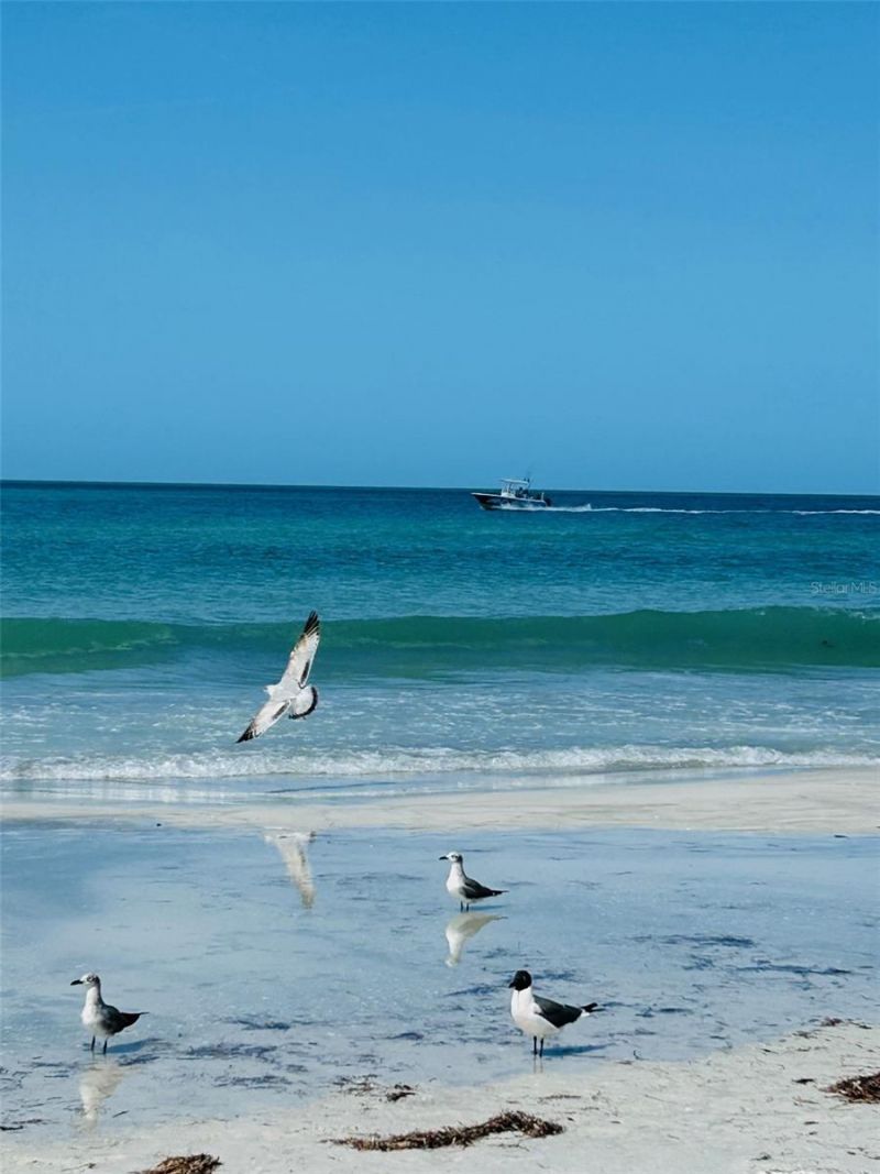 18218 Sunset Boulevard, Lot #B, Saint Petersburg, FL 33708 Photo