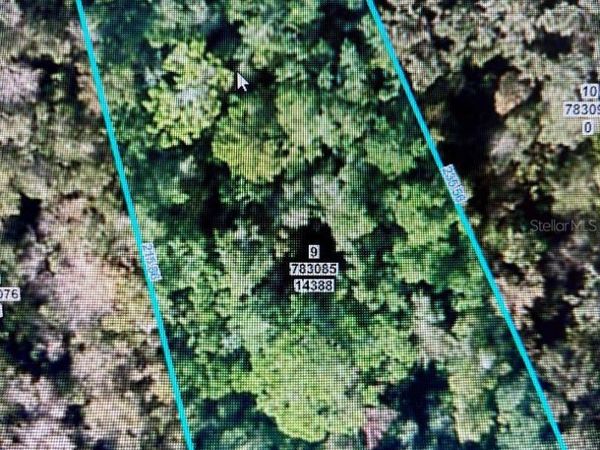 14388 CHIMNEY SWIFT ROAD, WEEKI WACHEE, FL 34614