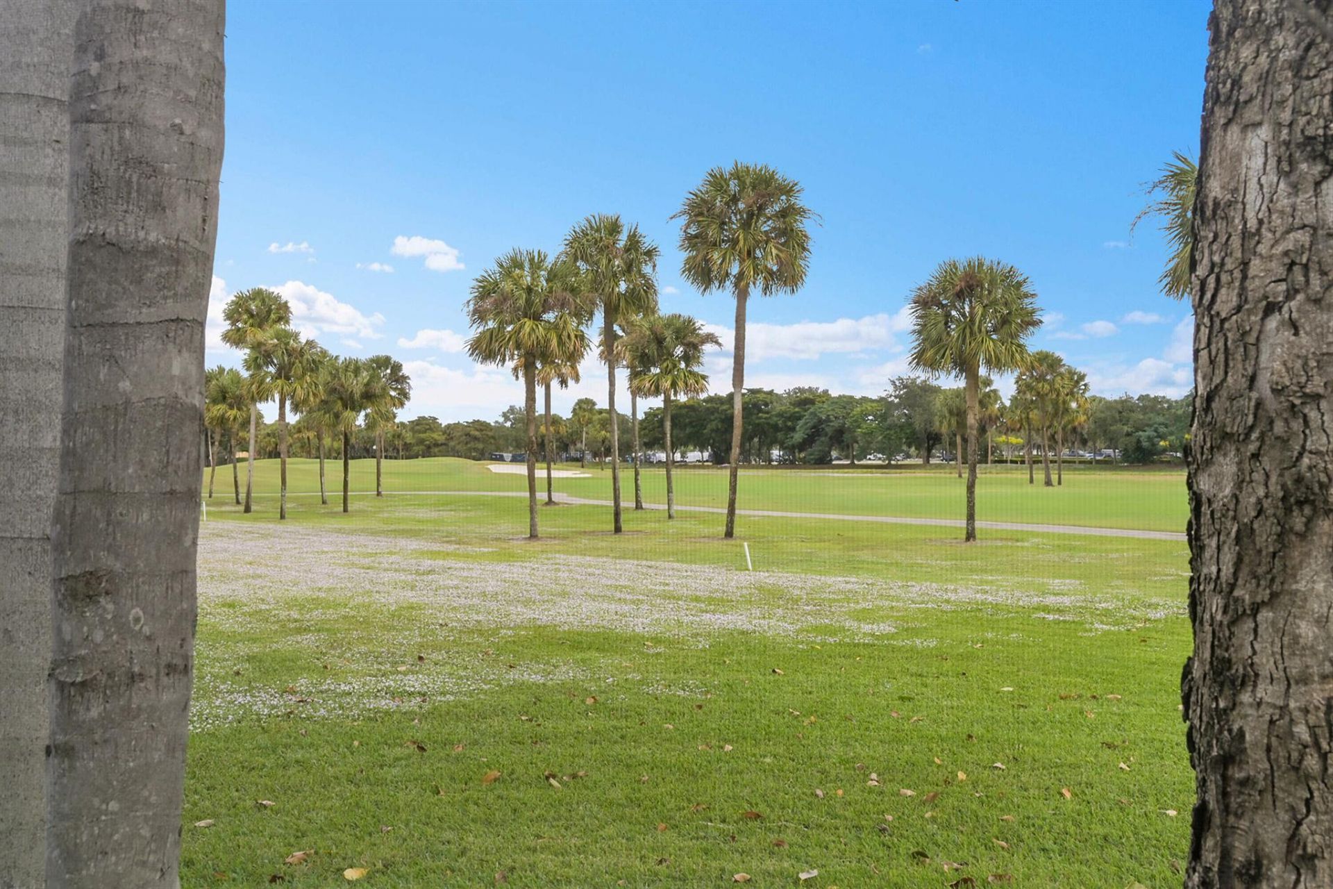 17094 Boca Club Boulevard, Unit 4, Boca Raton, FL 33487 Photo