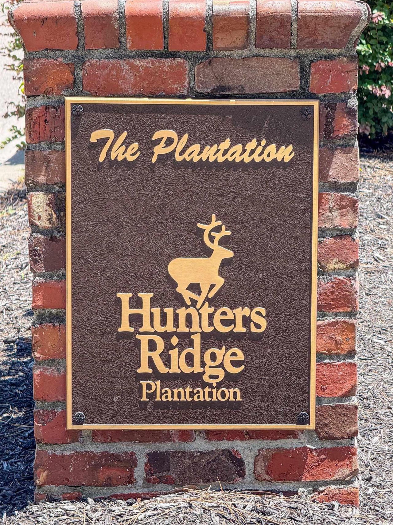 2425 Hunters Trail Photo 38