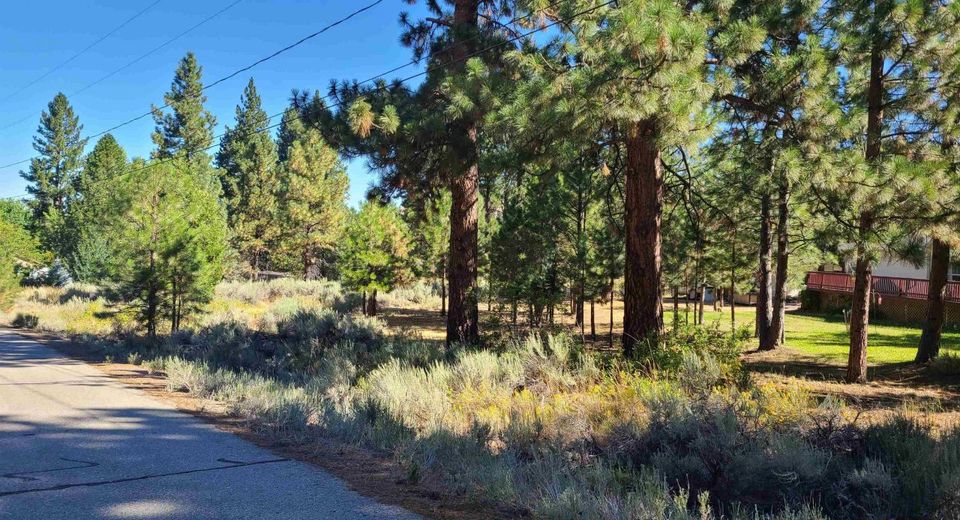 598 Longhorn Drive, Loyalton, CA 96118 Photo