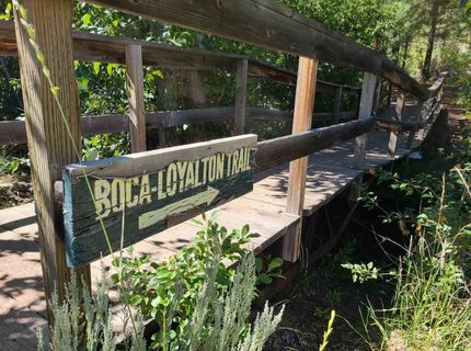 598 Longhorn Drive, Loyalton, CA 96118 Photo