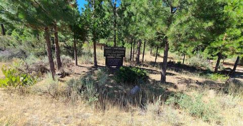 598 Longhorn Drive, Loyalton, CA 96118 Photo