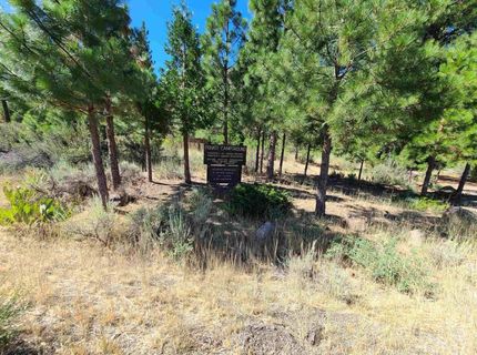 598 Longhorn Drive, Loyalton, CA 96118 Photo