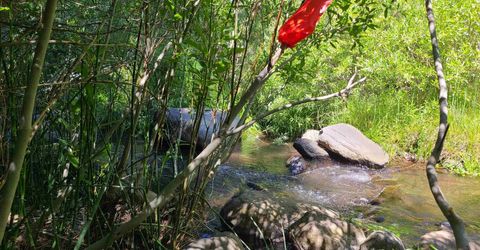 598 Longhorn Drive, Loyalton, CA 96118 Photo