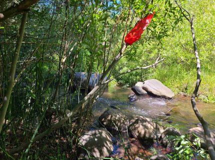 598 Longhorn Drive, Loyalton, CA 96118 Photo